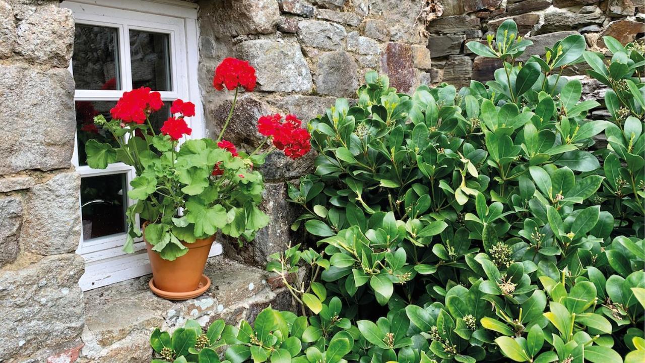 Manoir De La Begaudiere Mont-Dol ภายนอก รูปภาพ